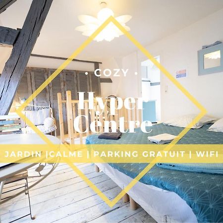 Les Cieux De La Cathedrale - Calme - Jardin - Wifi Apartment Troyes Ngoại thất bức ảnh